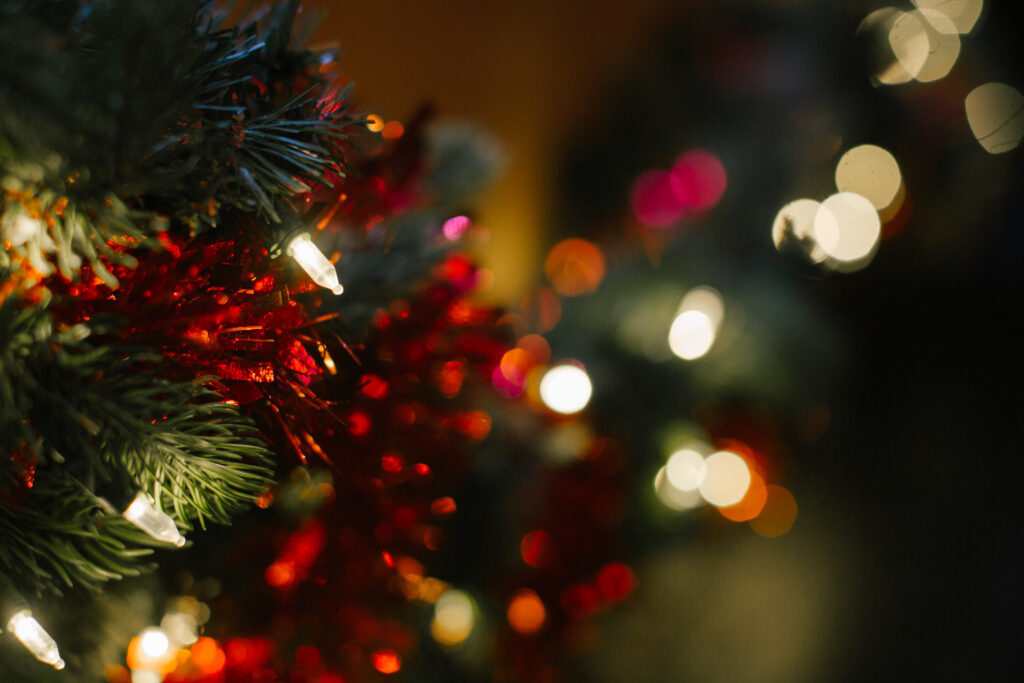 christmas, tree, lights, christmas scene, dramaturgy